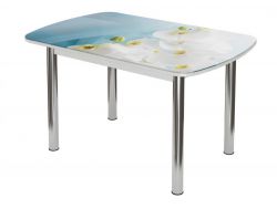 Стол обеденный Бостон 2 брифинг белая орхидея