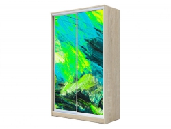 Шкаф-купе Хит 22-4-12/2-77 с фотопечатью